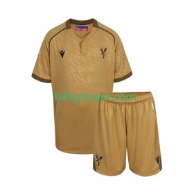 Billige Fotballdrakter Crystal Palace Barn Bortedraktsett 2025/26 Kortermet